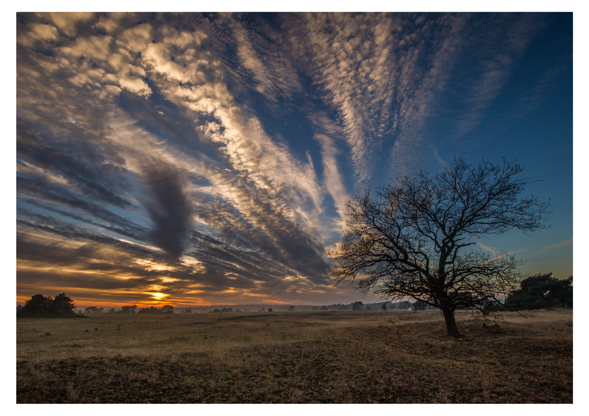 Pacchetto Steenpatrijs Crede sulla Veluwe