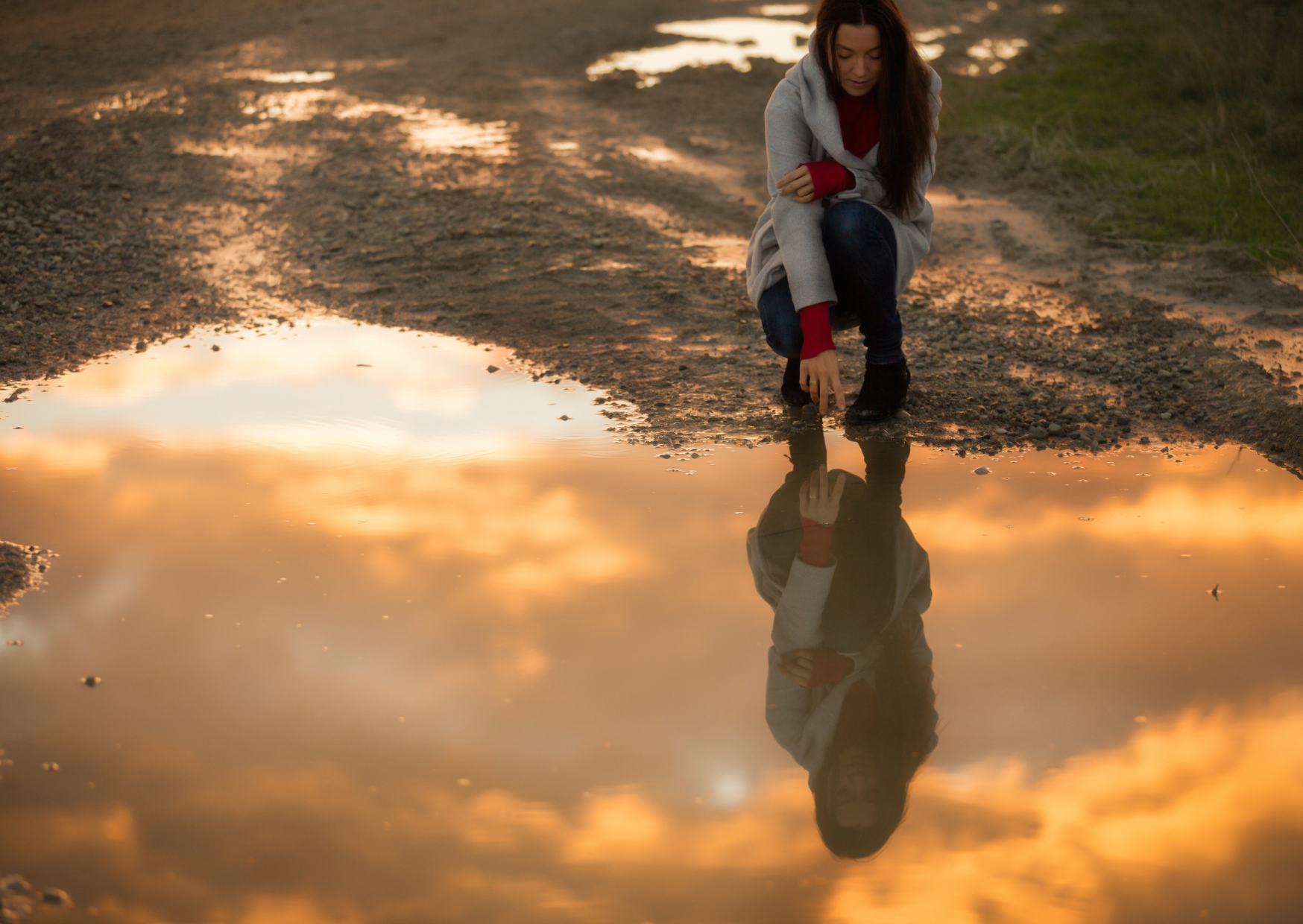 Dwergarend Credere sul Veluwe