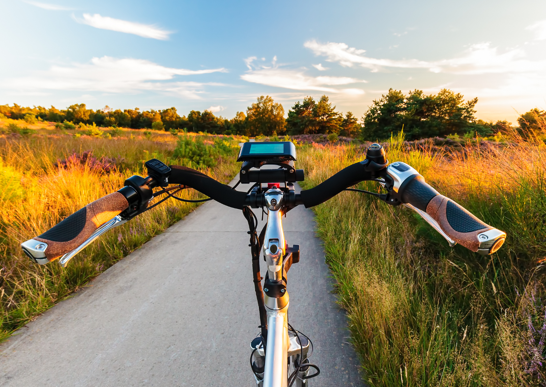 Pacchetti Dwergarend Beleef de Veluwe