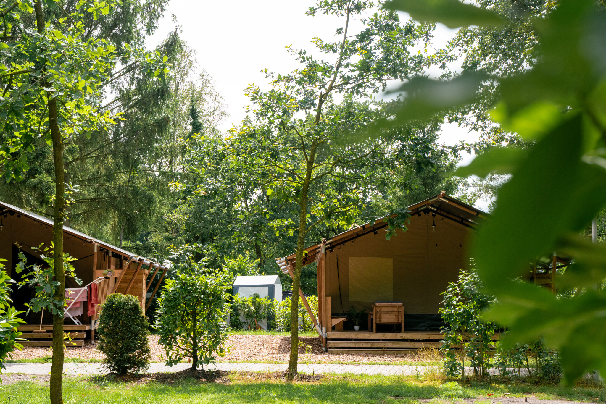 Camping de Zeven Heuveltjes - Safaritent 4 personen incl. sanitair