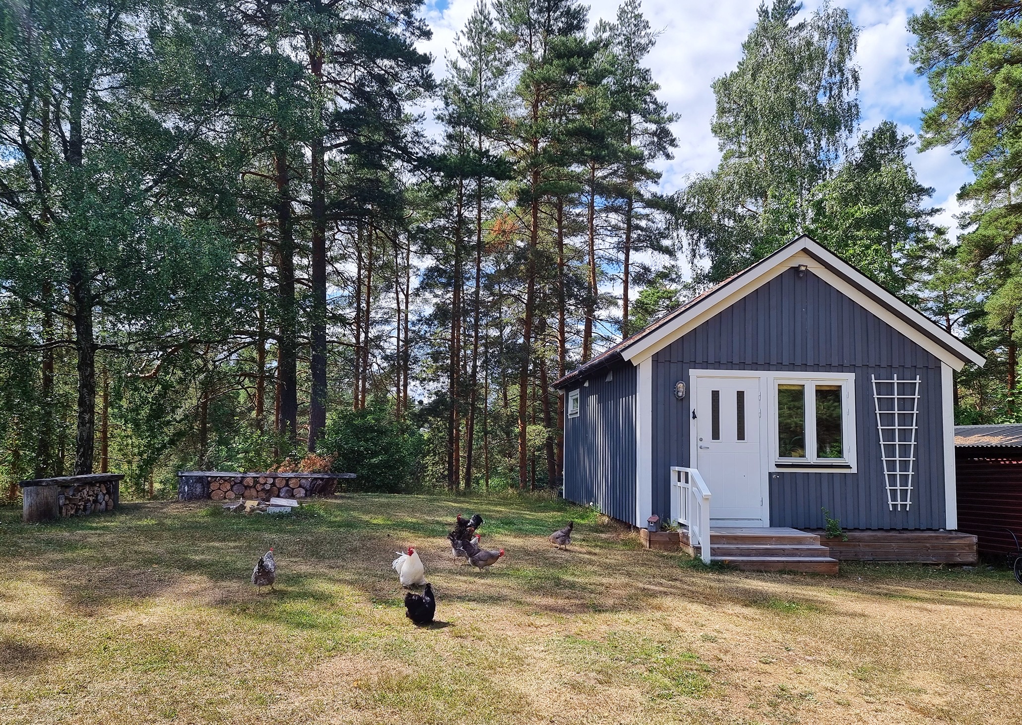 Smaland Miniglamping - Casa vacanze in cabina