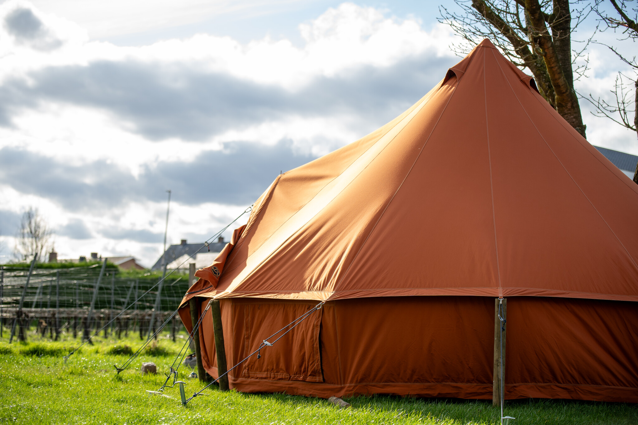 Camping de Boomgaard - Bell tent for 4 people