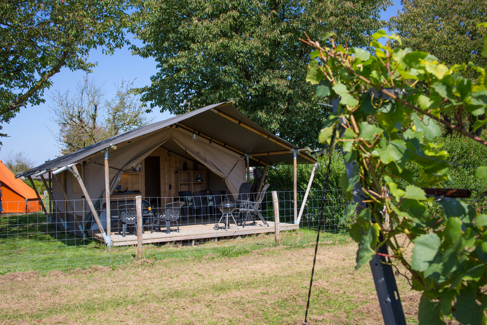 Camping de Boomgaard - Safari tent for 4 persons including sanitary