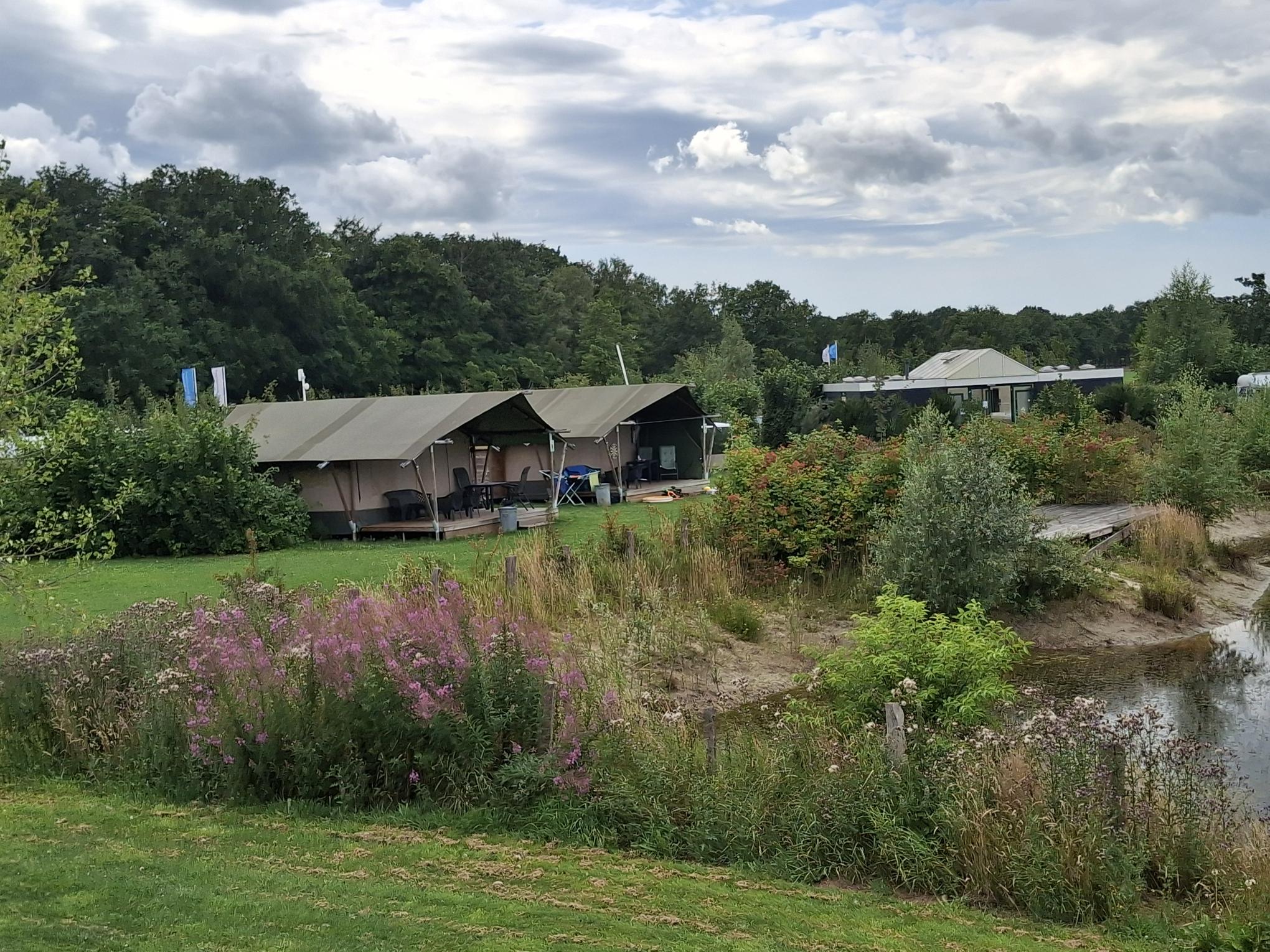 Recreatiepark de Meibeek - Safaritent voor 4 personen incl. sanitair