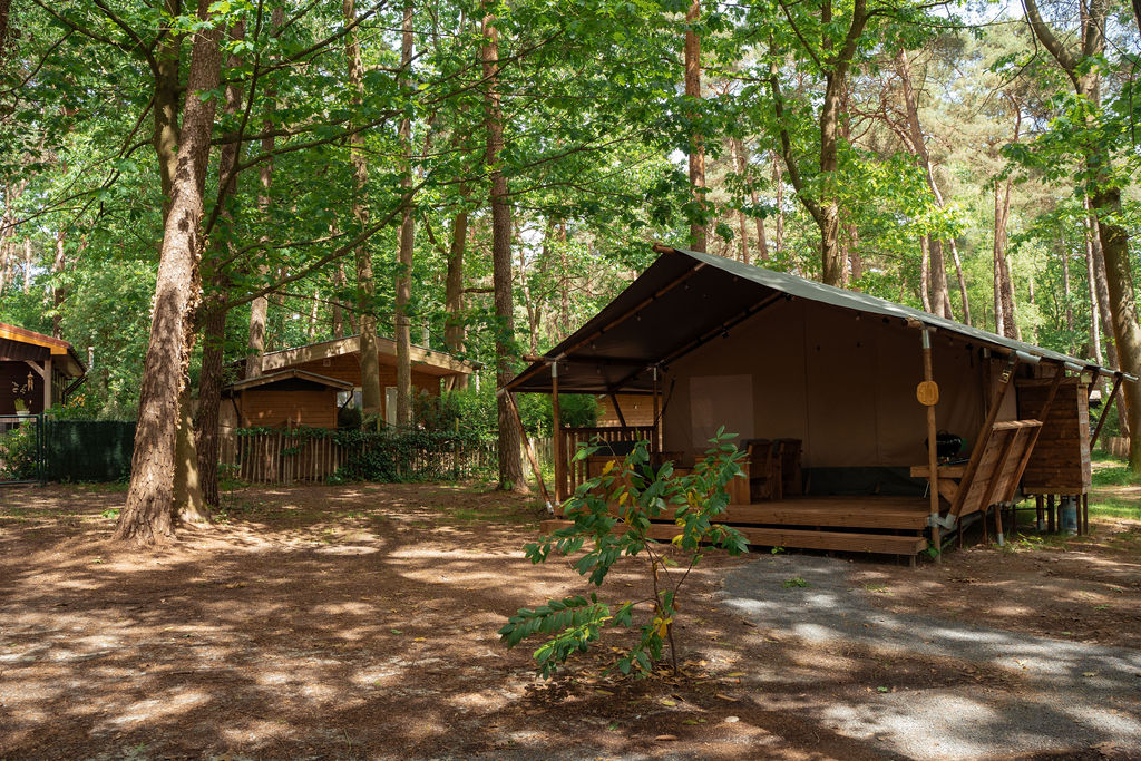 Jocomo Parc - Forest Lodge 4 persone incluse le sanitari