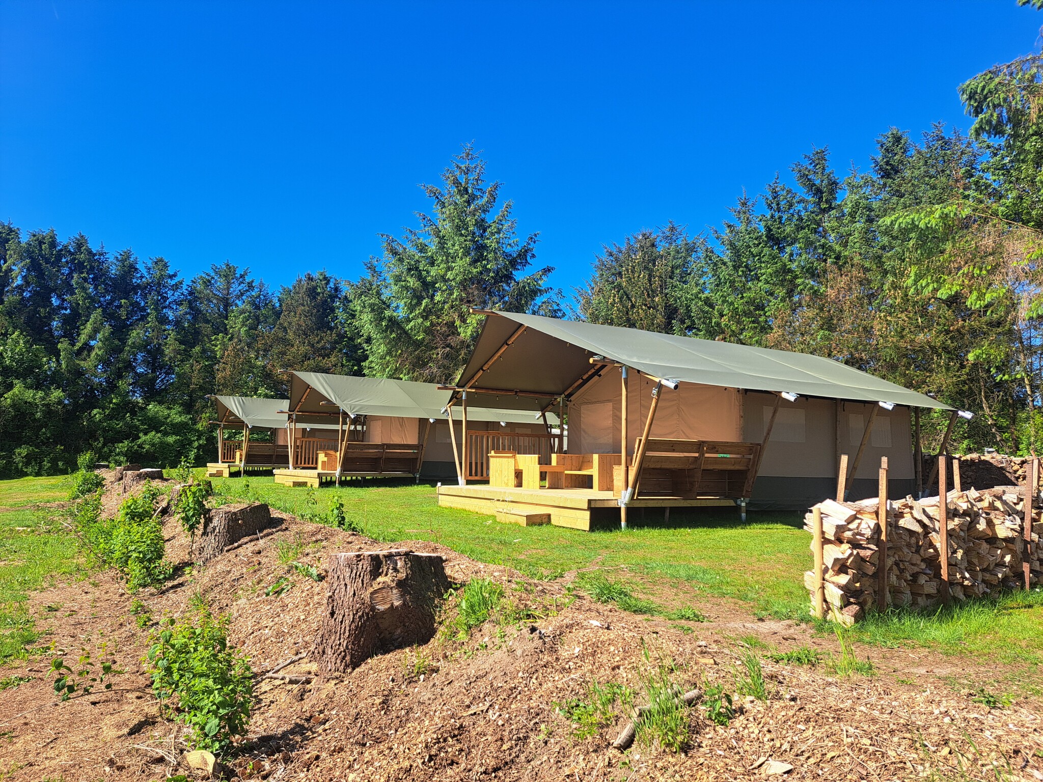 Glyngore Camping - Tenda safari per 5 persone
