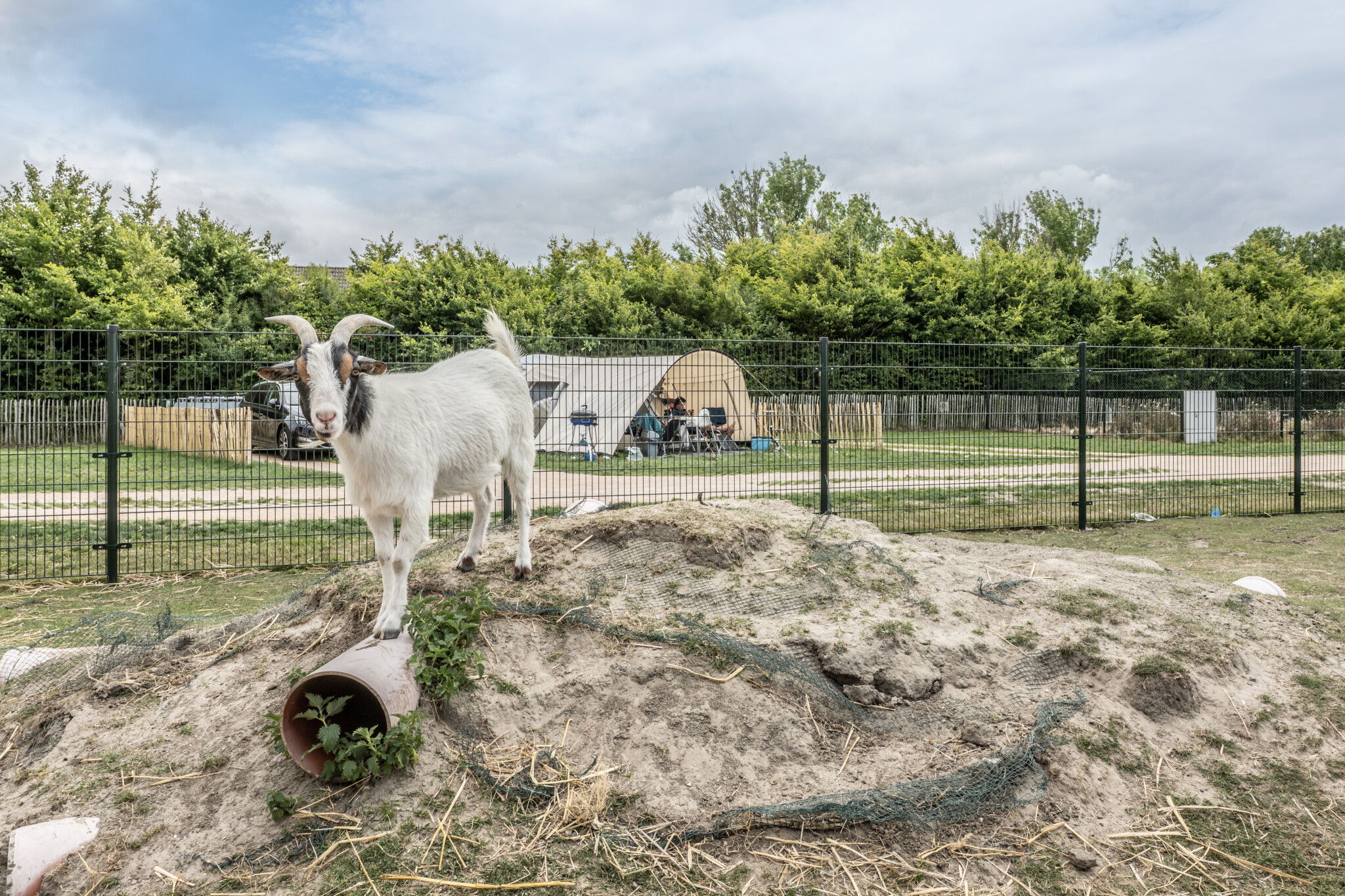 Emplacement de camping près de la ferme pour enfants