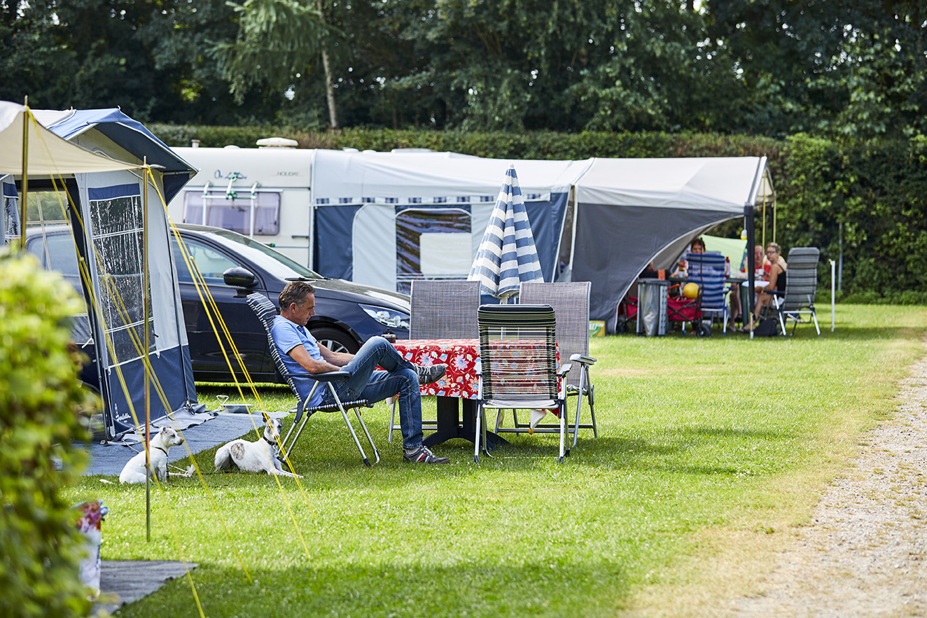 Comfort mit Haustier